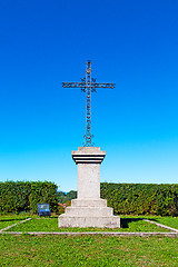 Image showing grass   abstract sacred  cross  