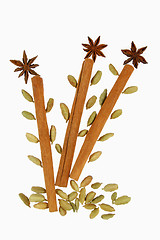 Image showing Aniseed and cinnamon
