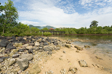 Image showing Indonesian landscape with mangrove and view point walkway