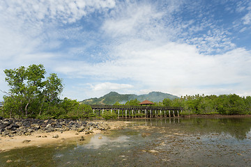 Image showing Indonesian landscape with mangrove and view point walkway