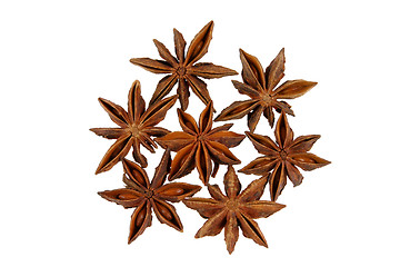 Image showing Anise