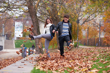 Image showing autumn couple