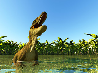 Image showing velociraptor the dinosaur