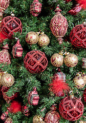 Image showing Christmas tree detail