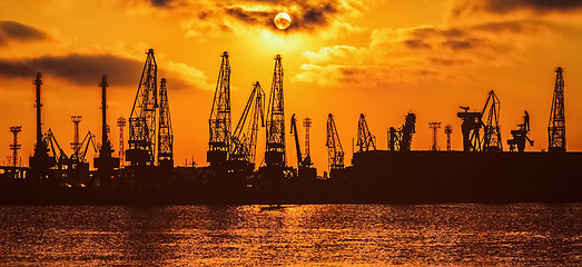 Image showing Cranes