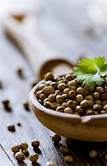 Image showing coriander seeds