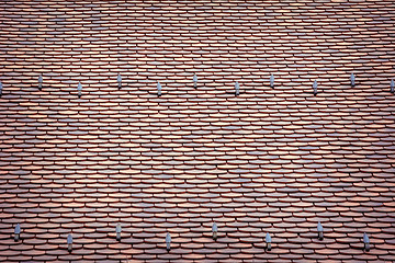 Image showing Tile Roof