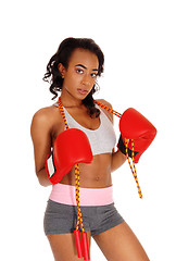 Image showing Athletic woman with rope, wearing boxing gloves.