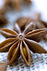 Image showing anise seeds