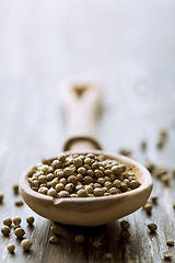 Image showing coriander seeds