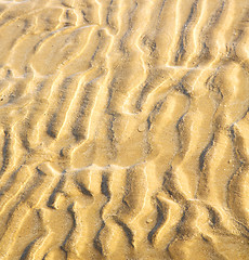 Image showing dune morocco in africa brown coastline wet sand beach near atlan