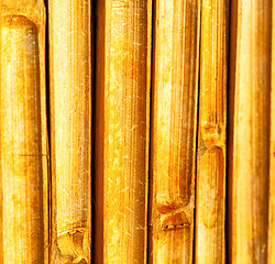 Image showing  cross bamboo  kho phangan bay   and south  