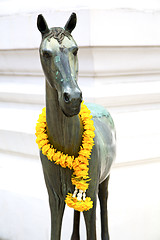 Image showing horse  in the temple bangkok asia  yellow