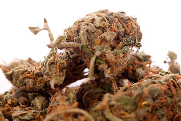 Image showing Close up Dried Marijuana Leaves on the Table