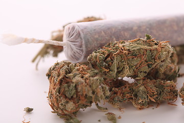 Image showing Close up of dried marijuana leaves and joint