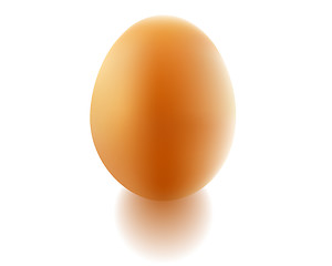 Image showing chicken egg