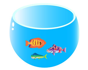 Image showing home aquarium with three fish