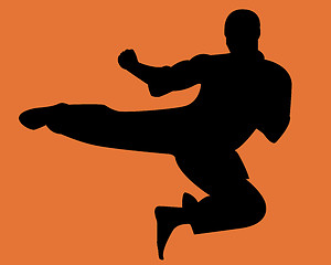 Image showing karate