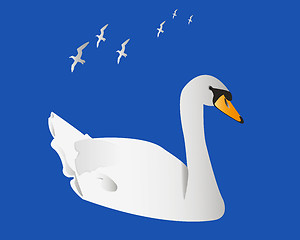 Image showing swan flying albatross