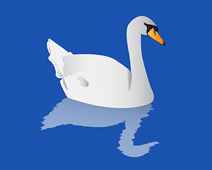 Image showing Swan with reflection