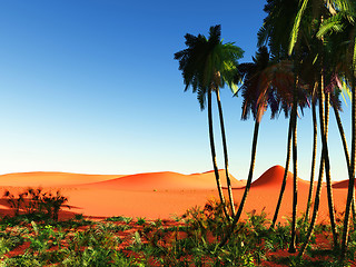 Image showing African oasis by the end of the day