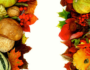 Image showing Autumn Harvest Frames