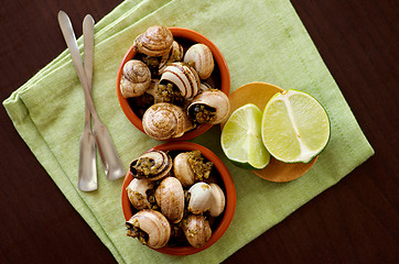 Image showing Snails with Garlic Butter