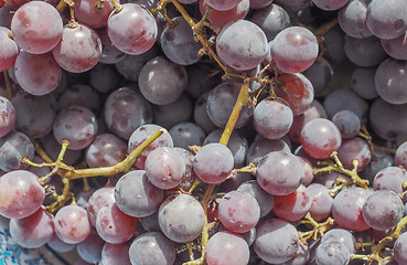 Image showing Red grape fruits