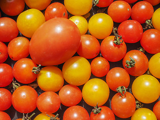 Image showing Cherry tomato vegetables background