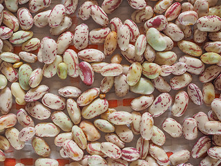 Image showing Crimson beans vegetables background