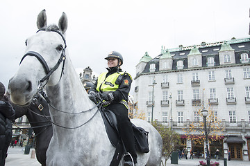 Image showing Police Horse