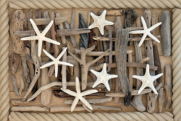 Image showing Starfish and Driftwood 