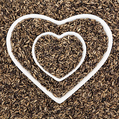 Image showing Milk Thistle Seed