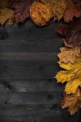 Image showing Wood autumn background