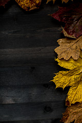 Image showing Wood autumn background