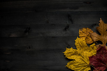 Image showing Wood autumn background