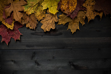 Image showing Wood autumn background