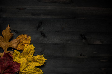 Image showing Wood autumn background