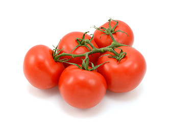 Image showing Five ripe red tomatoes on the vine