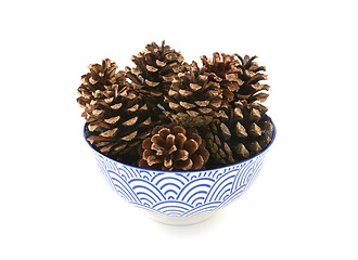 Image showing Small pine cones in a blue and white bowl