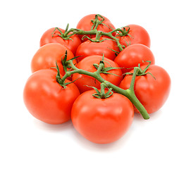 Image showing Ten red tomatoes on the vine