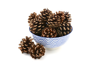 Image showing Fir cones arranged in and around a blue and white bowl