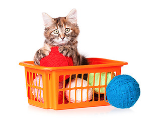 Image showing Kitten with clews of thread