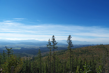 Image showing Landscape