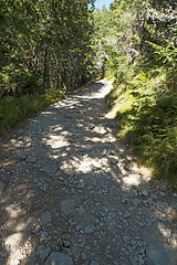 Image showing Tourist Path