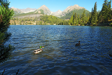 Image showing Mountain Lake