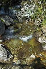 Image showing Mountain Stream