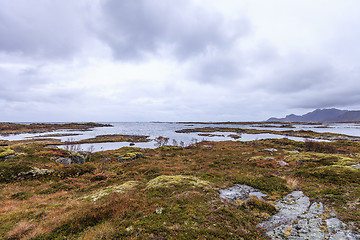 Image showing humid fall