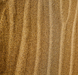 Image showing in lanzarote  spain   of a  dry sand and the beach 