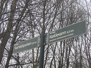 Image showing Pathway signpost in the woods